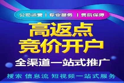 深度解析：百度推广代运营的成功要素